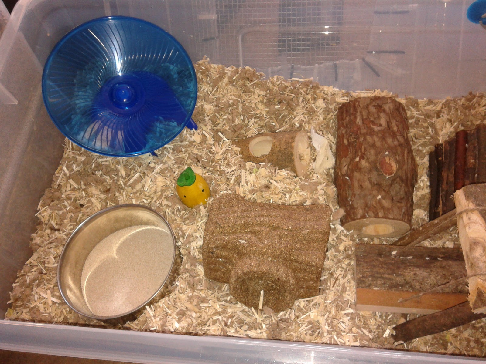 Hamster Cage Inside