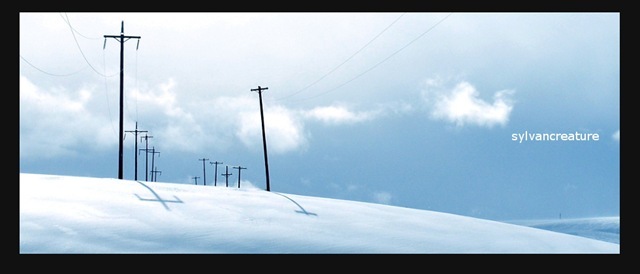 Palouse in the Winter
