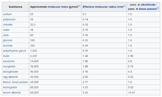  KBBI dan Wiktionary Lengkap dengan Pembahasan Arti Kata Molekul Lengkap dengan Pembahasannya