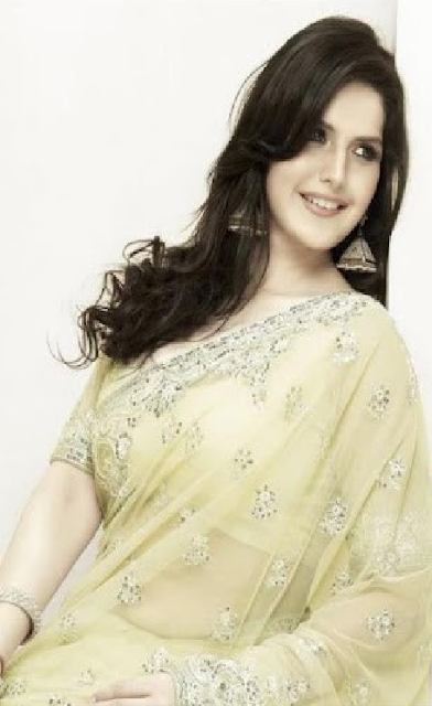 Zarine Khan Hyper Star Hd Wallpapers