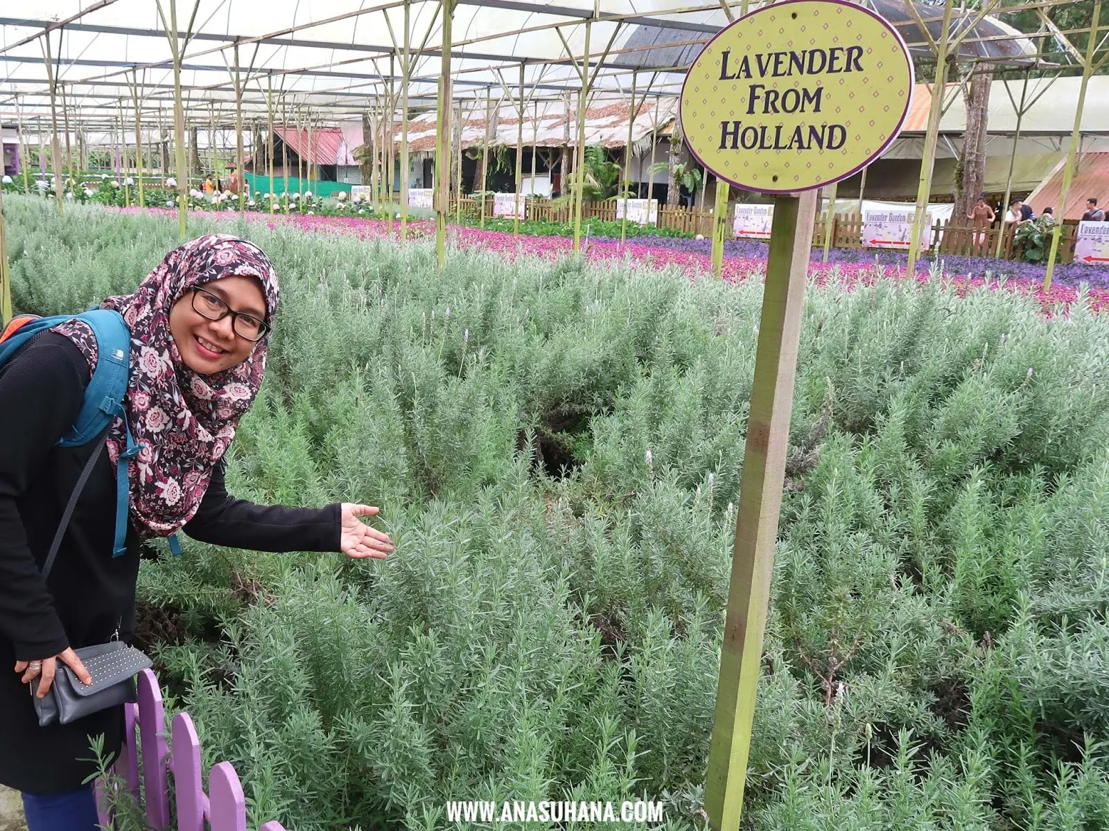 Genting Strawberry Leisure Farm