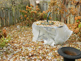 Greenwood-Coxwell Fall Garden Cleanup before by Toronto Paul Jung Gardening Services Pruning Annabelle Hydrangeas