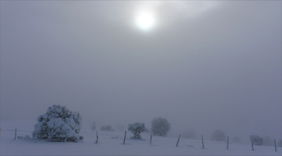 La niebla apenas deja ver el sol en la cima