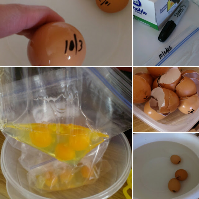 eggs, ziplock bags, egg yolks in bag, eggs in water