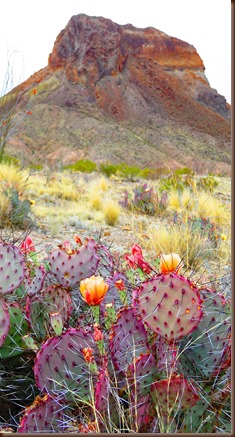 Big Bend45-7 Apr 2016