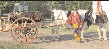 Pictured are Orlin Ostby, his son Christopher, who will travel with him, and Pum the ox