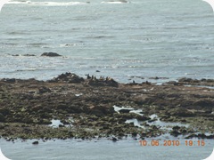 DSCN2164