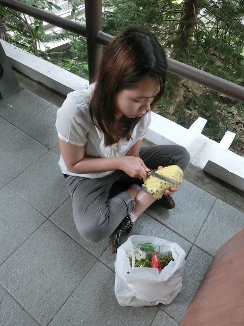 Emy S Pharmacy Student Malaysia Indonesia