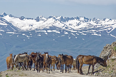 Kyrgyzstan