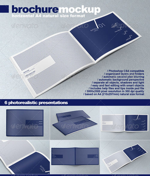 Brochure Mock Up3