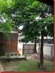 DSCF1769