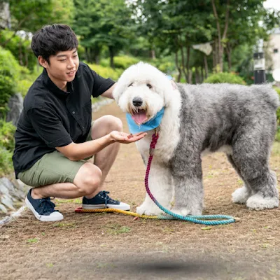 소중한 삽살개를 만나는 방법: 입양 절차와 보존회 안내