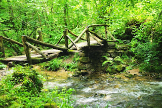 Puente de madera sobre el arroyo