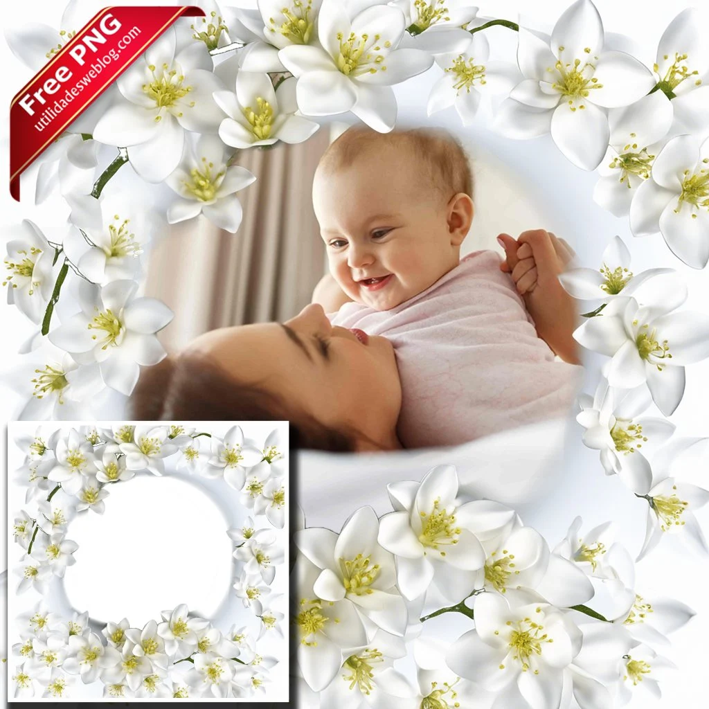 marco para fotos con flores de jasmin blancas en png con fondo transparente para descargar gratis