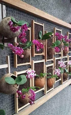 ideias para cultivar orquídeas