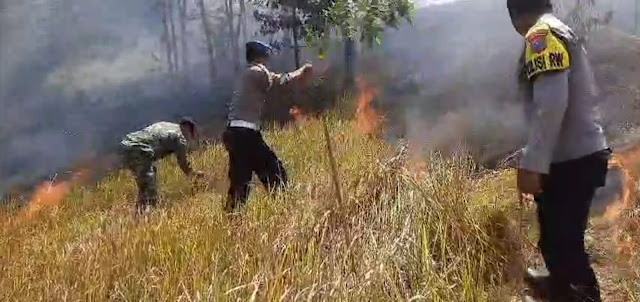 Polisi Bersama Petugas Gabungan Berhasil Padamkan Kebakaran Hutan Gunung Pucang Ranggah di Lumajang