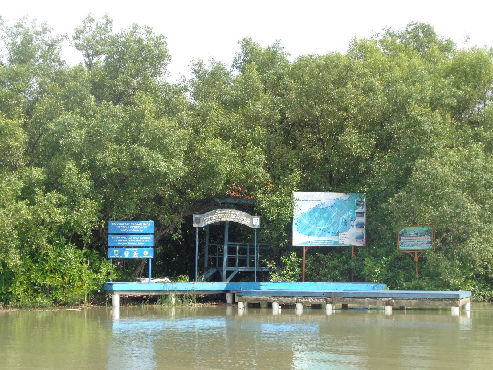 Simple adventurer: PEMALANG KAYA PESONA "HUTAN MANGROVE 