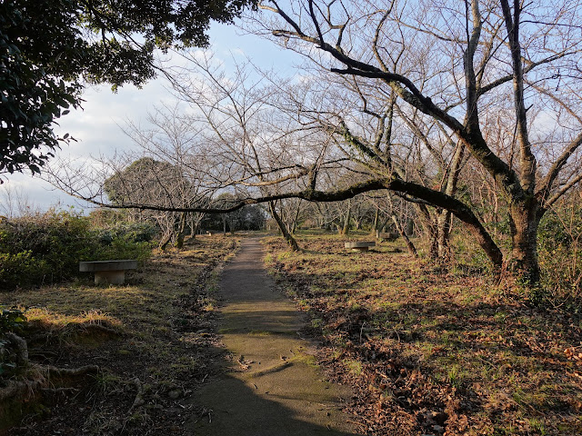 清水展望台(清水公園)