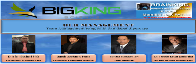 Brainking plus 08123 01 8900