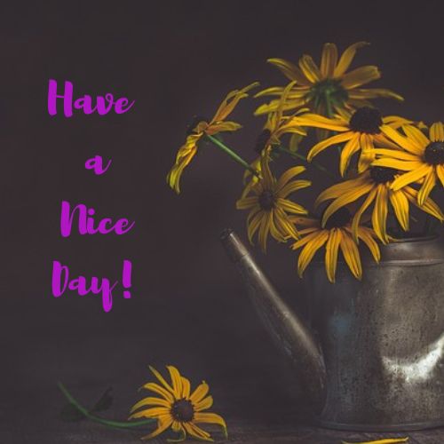 Have a Nice Day Images with Flowers