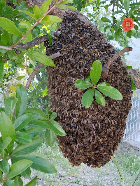 ¡Naturaleza en estado puro!