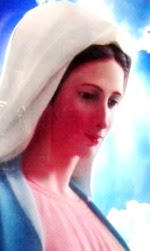 Rostro de perfil de la Virgen María