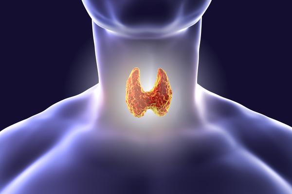 थायराइड के लक्षण, कारण, घरेलू उपचार और परहेज (Home Remedies for Thyroid Hypothyroidism)