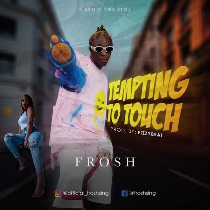 Frosh - Tempting To Touch 