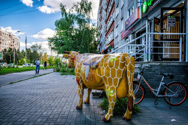 Корова с сотами, пчелками и медом