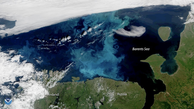  Phytoplankton blooms that shape the base of operations of the marine nutrient spider web are expanding northward inward For You Information - Arctic sea H2O ice turn down driving sea phytoplankton further north