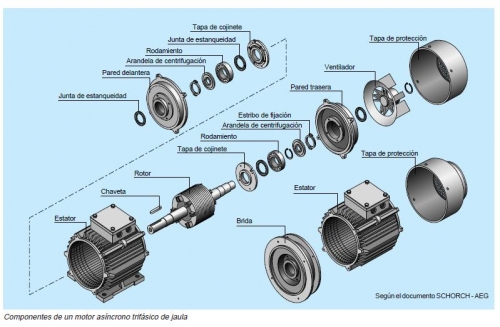 Motor Ac Jaula De Ardilla6