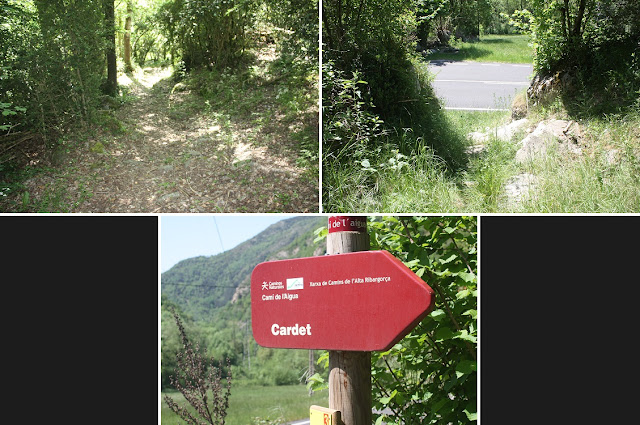 Ruta del Romànic de la Vall de Boí; carretera L-500