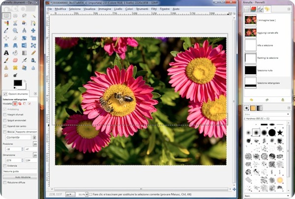 gimp selezione
