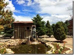 IMG_0219