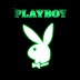 Did You Know? Kenapa Kelinci yang Lucu Dikenal Sebagai Lambang Playboy?