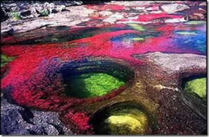 cano-cristales2
