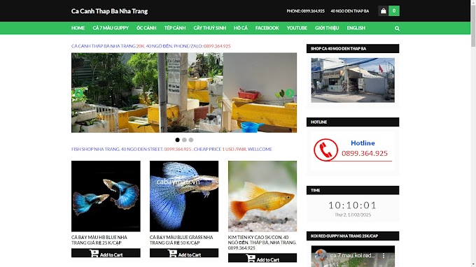 Thiet ke web ban hang 500K. Phone/zalo: 0899.364.925 