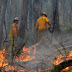 Sudah Ada 14 Perusahaan Pembakar Hutan Yang Diumumkan