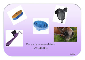 Cartes de nomenclature sur l'équitation