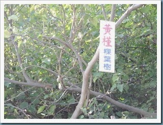 DSCN1881