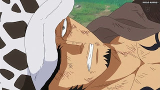 ワンピースアニメ ドレスローザ編 728話 トラファルガー・ロー トラ男 Trafalgar Law | ONE PIECE Episode 728