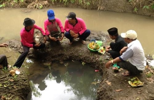 Ritual Mantu Kucing 