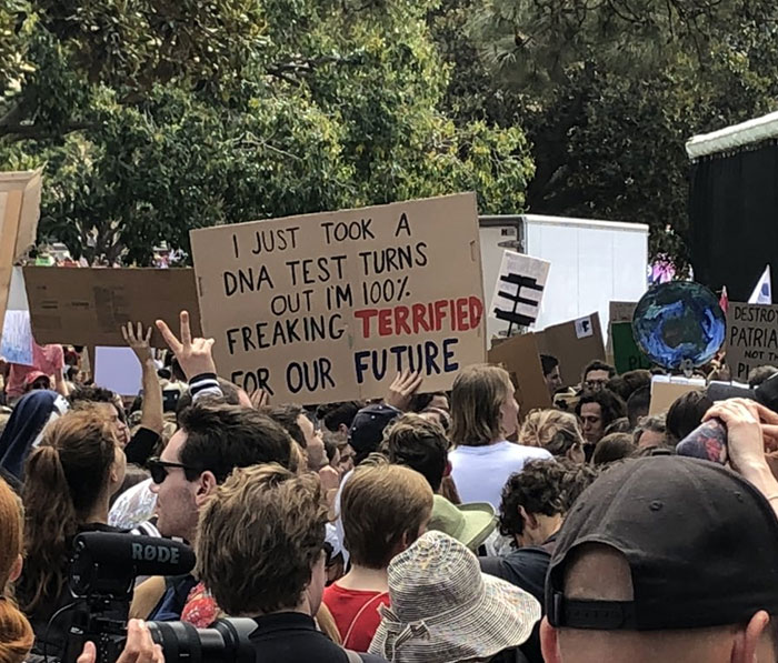 30 Of The Most Powerful Signs From The 2019 Climate Strike