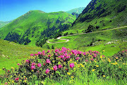 The name of the National Park in Austria Taytal comes from the name of the . (taytal national park in austria)