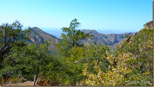 South rim hike,Big bend_079