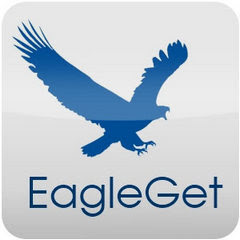 Download Stable Version 2.0.5.0 EagleGet