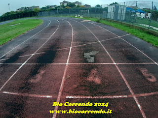 https://www.endu.net/it/events/maratonina-dautunno-di-novi-ligure/results/2024