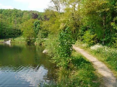 Marche Nordique Saint Germain en Laye