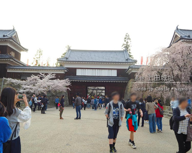 上田城跡公園の桜まつり