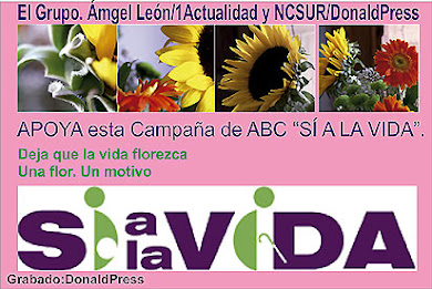 "SI A LA VIDA"
